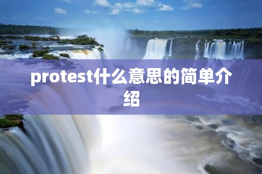 protest什么意思的简单介绍 protest什么意思的简单介绍