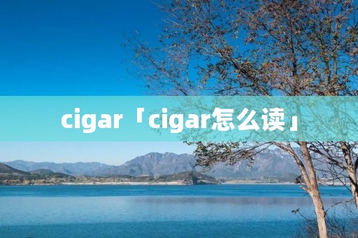 cigar「cigar怎么读」