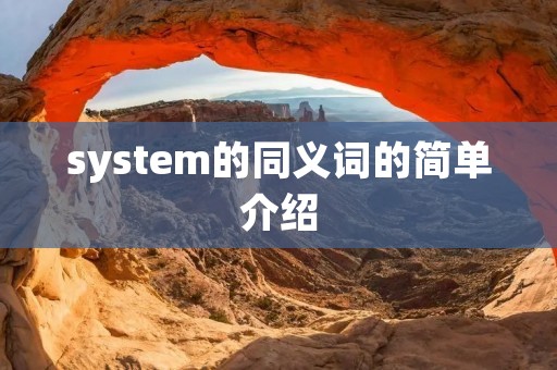 system的同义词的简单介绍 system的同义词的简单介绍