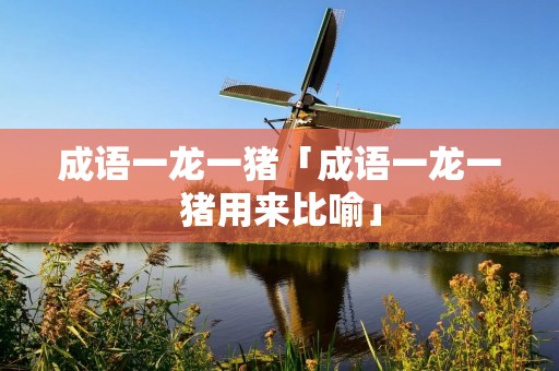 成语一龙一猪「成语一龙一猪用来比喻」