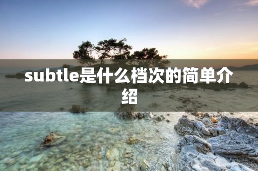 subtle是什么档次的简单介绍 subtle是什么档次的简单介绍