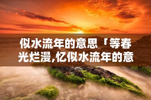 似水流年的意思「等春光烂漫,忆似水流年的意思」