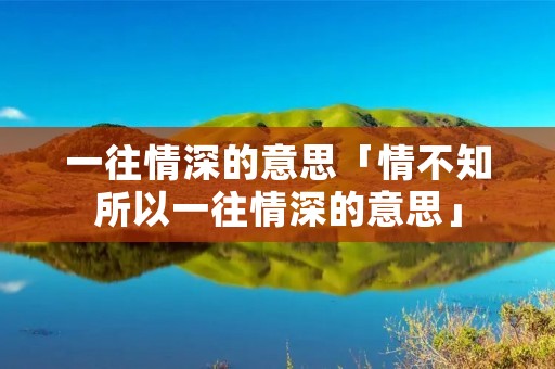 一往情深的意思「情不知所以一往情深的意思」