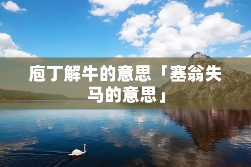 庖丁解牛的意思「塞翁失马的意思」