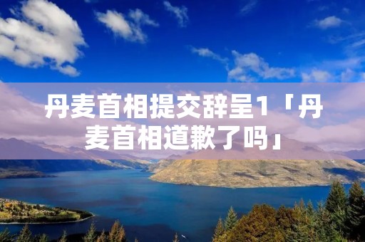 丹麦首相提交辞呈1「丹麦首相道歉了吗」