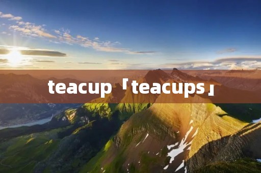 teacup「teacups」