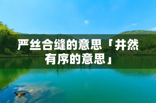 严丝合缝的意思「井然有序的意思」