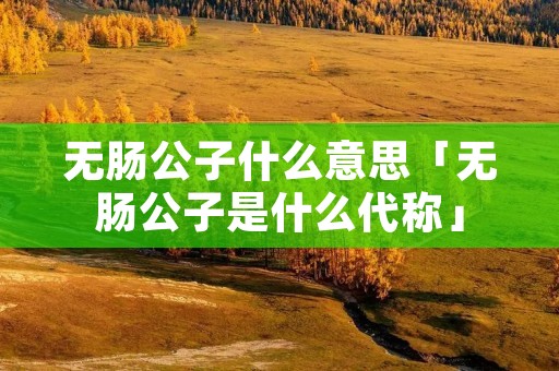 无肠公子什么意思「无肠公子是什么代称」