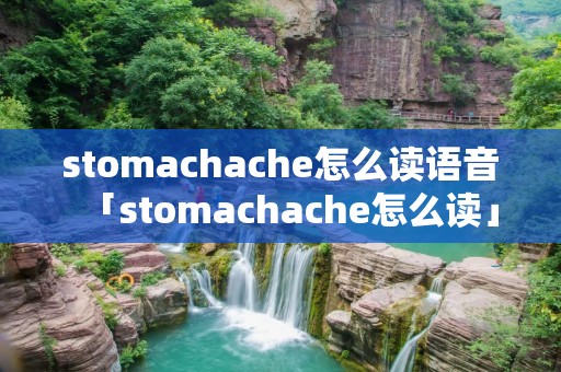stomachache怎么读语音「stomachache怎么读」