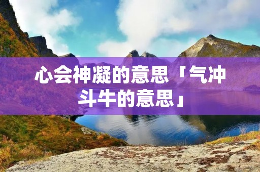 心会神凝的意思「气冲斗牛的意思」