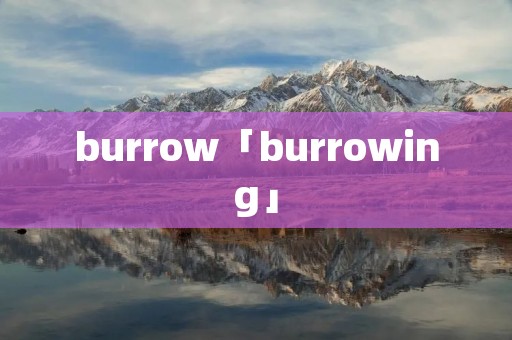 burrow「burrowing」 burrow「burrowing」