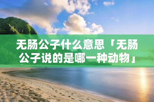 无肠公子什么意思「无肠公子说的是哪一种动物」