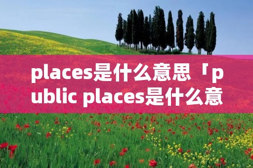 places是什么意思「public places是什么意思」