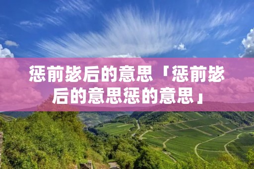 惩前毖后的意思「惩前毖后的意思惩的意思」