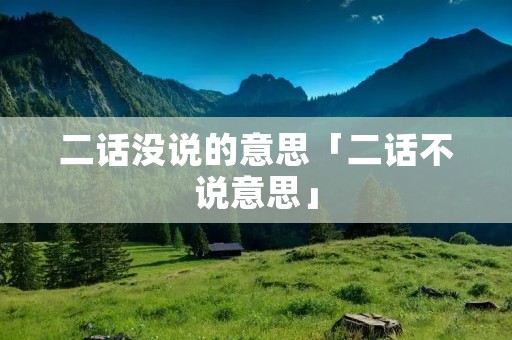 二话没说的意思「二话不说意思」