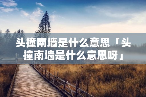 头撞南墙是什么意思「头撞南墙是什么意思呀」 头撞南墙是什么意思「头撞南墙是什么意思呀」