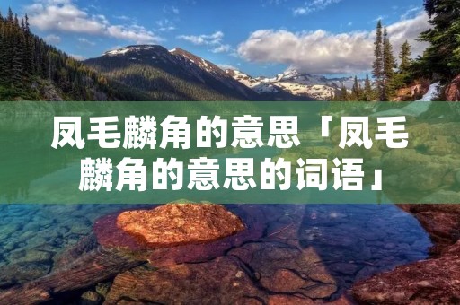 凤毛麟角的意思「凤毛麟角的意思的词语」
