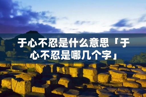 于心不忍是什么意思「于心不忍是哪几个字」