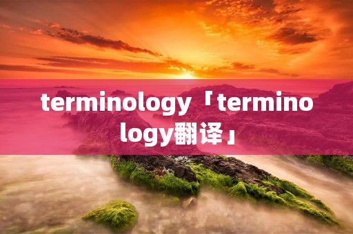 terminology「terminology翻译」