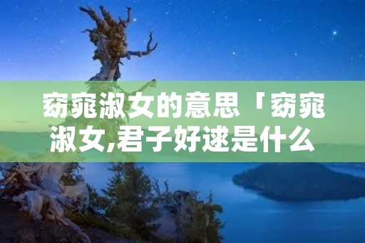 窈窕淑女的意思「窈窕淑女,君子好逑是什么意思」
