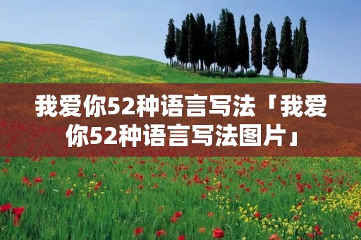 我爱你52种语言写法「我爱你52种语言写法图片」