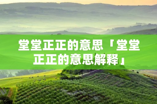 堂堂正正的意思「堂堂正正的意思解释」