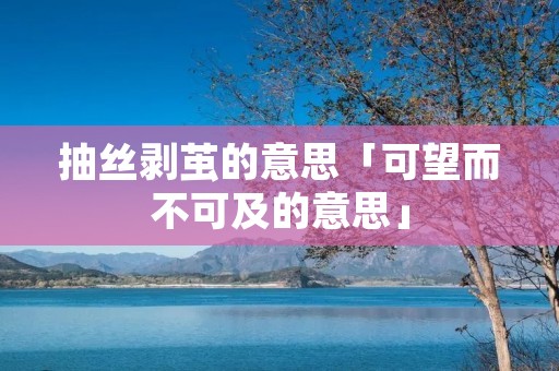 抽丝剥茧的意思「可望而不可及的意思」