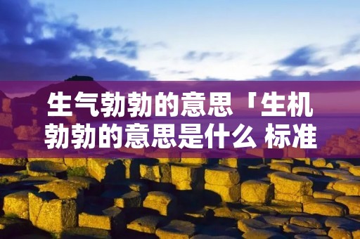 生气勃勃的意思「生机勃勃的意思是什么 标准答案」