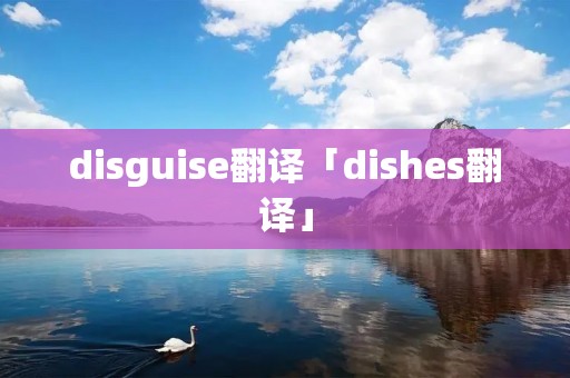 disguise翻译「dishes翻译」