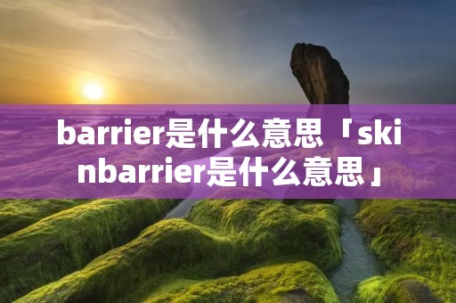 barrier是什么意思「skinbarrier是什么意思」 barrier是什么意思「skinbarrier是什么意思」