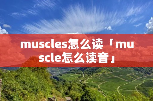 muscles怎么读「muscle怎么读音」