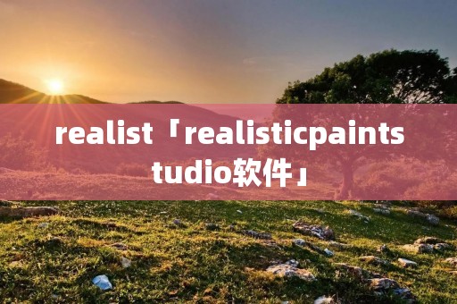 realist「realisticpaintstudio软件」