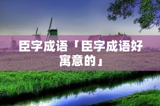 臣字成语「臣字成语好寓意的」