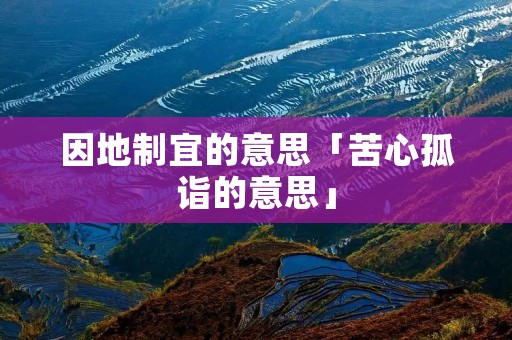 因地制宜的意思「苦心孤诣的意思」
