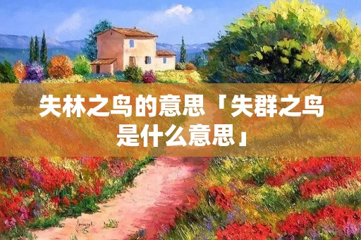 失林之鸟的意思「失群之鸟是什么意思」