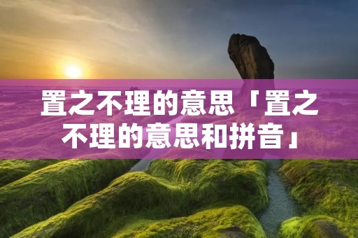 置之不理的意思「置之不理的意思和拼音」