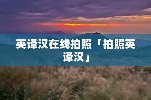 英译汉在线拍照「拍照英译汉」