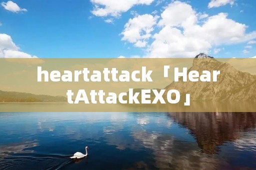 heartattack「HeartAttackEXO」