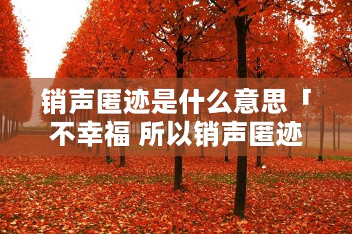 销声匿迹是什么意思「不幸福 所以销声匿迹是什么意思」 销声匿迹是什么意思「不幸福 所以销声匿迹是什么意思」