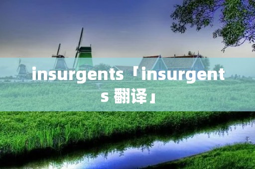 insurgents「insurgents 翻译」