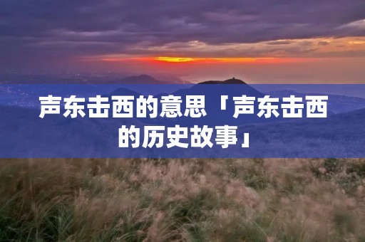 声东击西的意思「声东击西的历史故事」