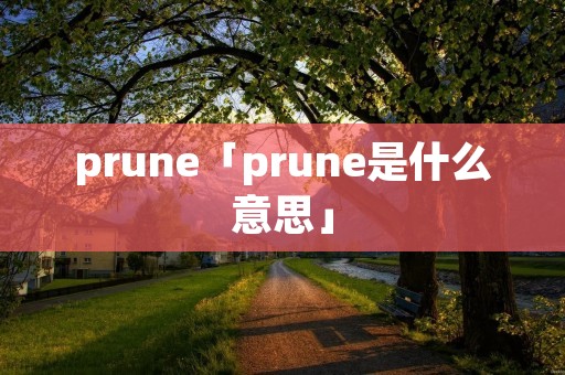 prune「prune是什么意思」