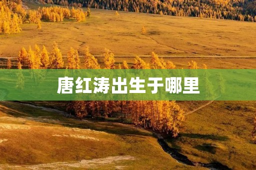 唐红涛出生于哪里