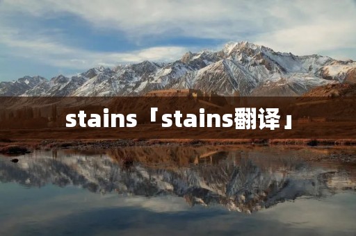 stains「stains翻译」