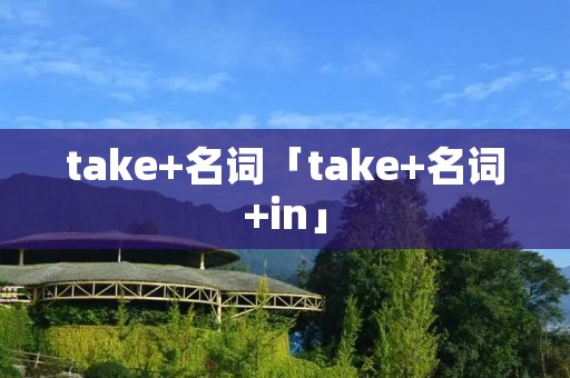 take+名词「take+名词+in」