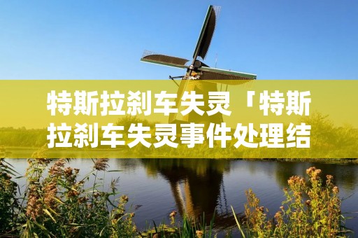 特斯拉刹车失灵「特斯拉刹车失灵事件处理结果」 特斯拉刹车失灵「特斯拉刹车失灵事件处理结果」