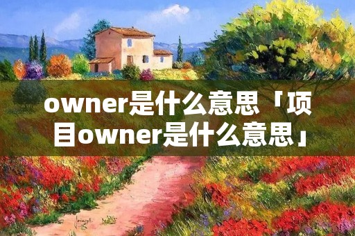 owner是什么意思「项目owner是什么意思」