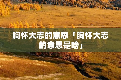胸怀大志的意思「胸怀大志的意思是啥」