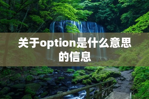 关于option是什么意思的信息