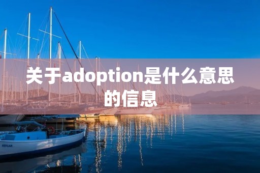 关于adoption是什么意思的信息